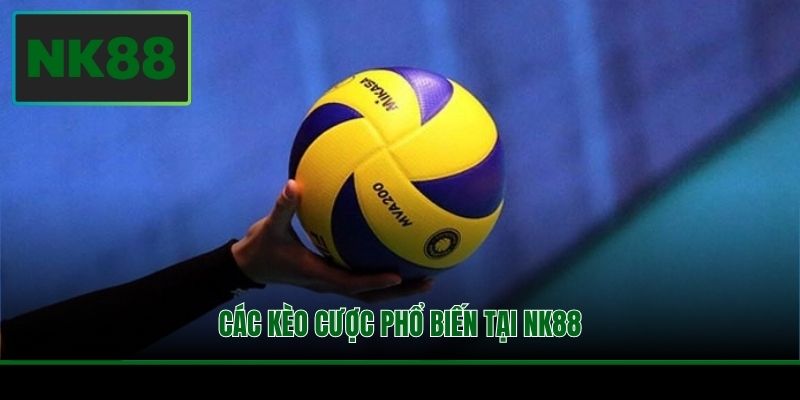 Cá Cược Bóng Chuyền Và Kiến Thức Quan Trọng Tại NK88 3 Các kèo cược phổ biến tại NK88