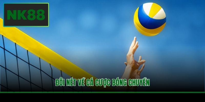 Cá Cược Bóng Chuyền Và Kiến Thức Quan Trọng Tại NK88 2 Đôi nét về cá cược bóng chuyền