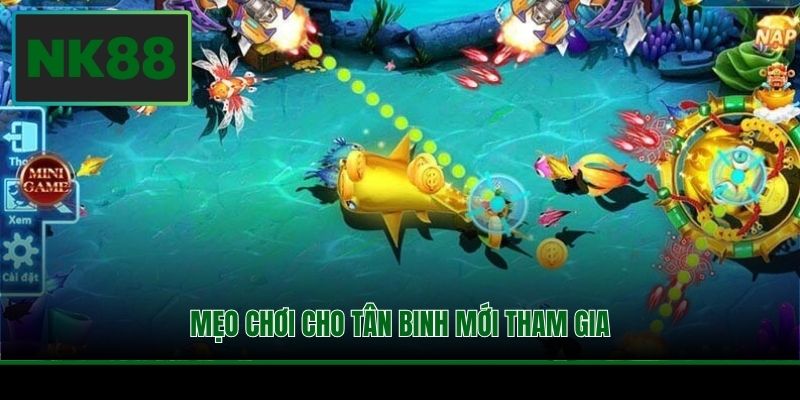 Chơi Bắn Cá Đổi Thưởng - Lựa Chọn Siêu Hấp Dẫn Tại NK88 4 Mẹo chơi cho tân binh mới tham gia